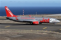 ©Alfonso Solís - Asociación Canary Islands Spotting. Click to see full size photo ©Alfonso Solís - Asociación Canary Islands Spotting. Click to see full size photo