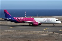 ©Alfonso Solís - Asociación Canary Islands Spotting. Click to see full size photo ©Alfonso Solís - Asociación Canary Islands Spotting. Click to see full size photo