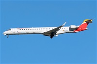 Csar Prieto. Click to see full size photo