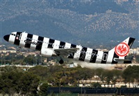 ©Javier Rodríguez. Click to see full size photo ©Javier Rodríguez. Click to see full size photo