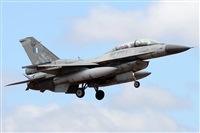 ©Alfonso Solís - Asociación Canary Islands Spotting. Click to see full size photo ©Alfonso Solís - Asociación Canary Islands Spotting. Click to see full size photo