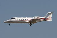 Jos Miguel Bernases - Noisy Spotters. Click to see full size photo