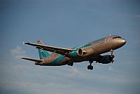 Rubn Gil - Noisy Spotters. Click to see full size photo