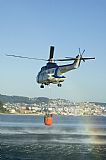 Adrin Chapela Cordeiro - Gallaecia Spotters. Click to see full size photo