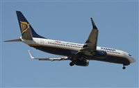 Jos Miguel Bernases - Noisy Spotters. Click to see full size photo