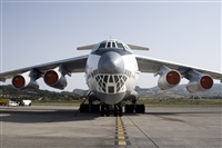 Javier de la Cruz - CANARY ISLANDS SPOTTING. Click to see full size photo