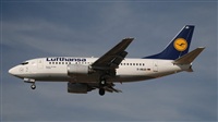 Rubn Gil - Noisy Spotters. Click to see full size photo