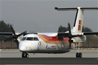 Jos Miguel Bernases - Noisy Spotters. Click to see full size photo
