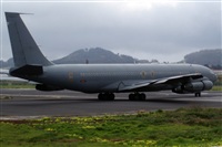 Ayoze Santana Mendez - Canary Islands Spotting. Click to see full size photo