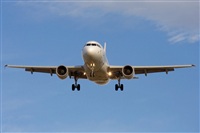 ©José Miguel Bernases - Noisy Spotters. Click to see full size photo ©José Miguel Bernases - Noisy Spotters. Click to see full size photo