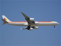 H.volar. Click to see full size photo