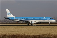Jos Miguel Bernases - Noisy Spotters. Click to see full size photo