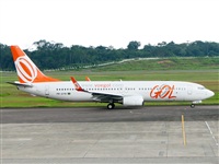 Fabio Duarte - Manaus Spotting Team. Click to see full size photo