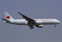 Jos Miguel Bernases - Noisy Spotters. Click to see full size photo