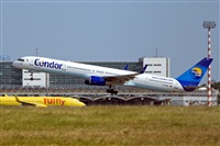 Javier de la Cruz - CANARY ISLANDS SPOTTING. Click to see full size photo