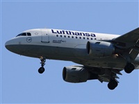 alber r.s.   BasqueSpotting. Click to see full size photo