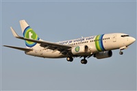 Rubn Gil - Noisy Spotters. Click to see full size photo