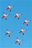 Rodrigo Carvalho - Noisy Spotters. Haz click para ampliar