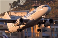 Javier de la Cruz - CANARY ISLANDS SPOTTING. Click to see full size photo