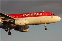Dr. Alejandro Hndez. Spotters Mexico City. Click to see full size photo