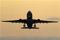 Rui Alves - Madeira Spotters. Click to see full size photo