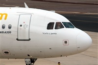 Adrin Alonso Lemes - Lanzarote Spotters. Haz click para ampliar