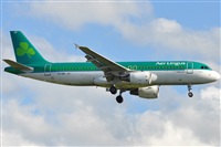 Rubn Gil - Noisy Spotters. Click to see full size photo