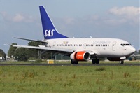 Alfonso Sols - Asociacin Canary Islands Spotting. Click to see full size photo