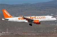 Luciano Fumero( freedom spotter)canary island spotting. Click to see full size photo