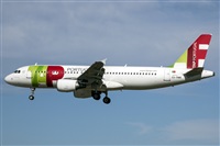 Bartolom Fernndez - Gran Canaria Spotters. Click to see full size photo