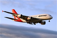 Javier de la Cruz - CANARY ISLANDS SPOTTING. Click to see full size photo