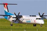 Javier de la Cruz - CANARY ISLANDS SPOTTING. Click to see full size photo