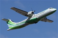 ©Alfonso Solís - Asociación Canary Islands Spotting. Click to see full size photo ©Alfonso Solís - Asociación Canary Islands Spotting. Click to see full size photo