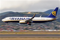 Miguel A. gueda Rguez.  (CANARY ISLANDS SPOTTING). Click to see full size photo