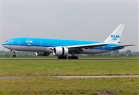 Miguel Alia - Noisy Spotters. Click to see full size photo