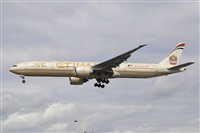 Miguel A. gueda Rguez.  (CANARY ISLANDS SPOTTING). Haz click para ampliar