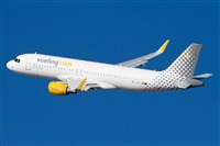 Miguel Alia - Noisy Spotters. Click to see full size photo