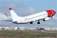 Alfonso Sols - Asociacin Canary Islands Spotting. Click to see full size photo