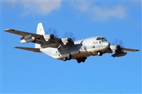 J. Victor Vega-Gran Canaria Spotters. Click to see full size photo