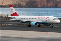 ©Adolfo Bento - Gran Canaria Spotters. Click to see full size photo ©Adolfo Bento - Gran Canaria Spotters. Click to see full size photo