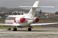 Ayoze Santana Mendez - Canary Islands Spotting. Click to see full size photo