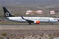 Alfonso Sols - Asociacin Canary Islands Spotting. Click to see full size photo