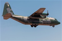 ©Adolfo Bento - Gran Canaria Spotters. Click to see full size photo ©Adolfo Bento - Gran Canaria Spotters. Click to see full size photo