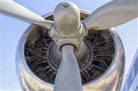 Paco Muoz Arencibia - Gran Canaria Spotters. Click to see full size photo