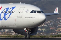 ©Daniel Santos Batista - Canary Islands Spotting. Click to see full size photo ©Daniel Santos Batista - Canary Islands Spotting. Click to see full size photo