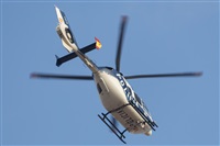 David Manuel Tobarra Ruiz - Spotters Murcia. Click to see full size photo