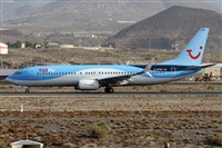 Alfonso Sols - Asociacin Canary Islands Spotting. Click to see full size photo
