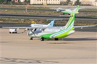 ©Adolfo Bento - Gran Canaria Spotters. Click to see full size photo ©Adolfo Bento - Gran Canaria Spotters. Click to see full size photo