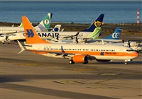 ©Alejandro H.L - Gran Canaria Spotters. Click to see full size photo ©Alejandro H.L - Gran Canaria Spotters. Click to see full size photo
