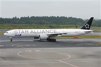 Miguel A. gueda Rguez.  (CANARY ISLANDS SPOTTING). Click to see full size photo